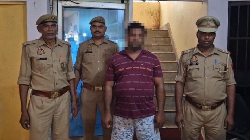 Potato trader himself created a false story of robbery