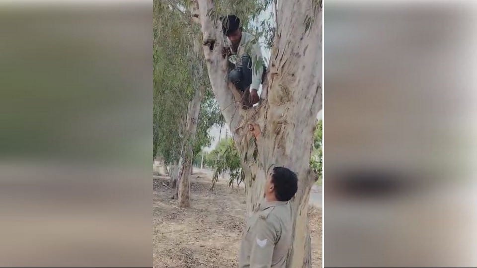 policeman saved birds from being captured video surfaced In Agra