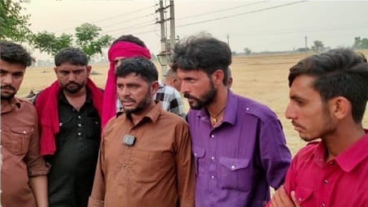 Eighteen cattle died after drinking water from fields in Punjab, condition of more than seven is critical