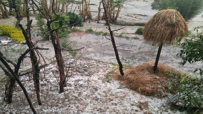 Uttarakhand Weather News: heavy rain in Bageshwar