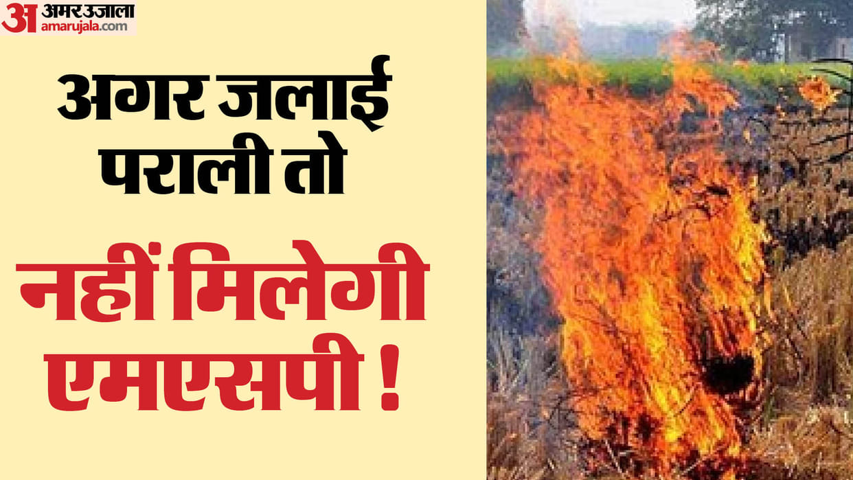 Farmers who burn stubble will not get MSP! The government is going to take these steps; This scheme can bring