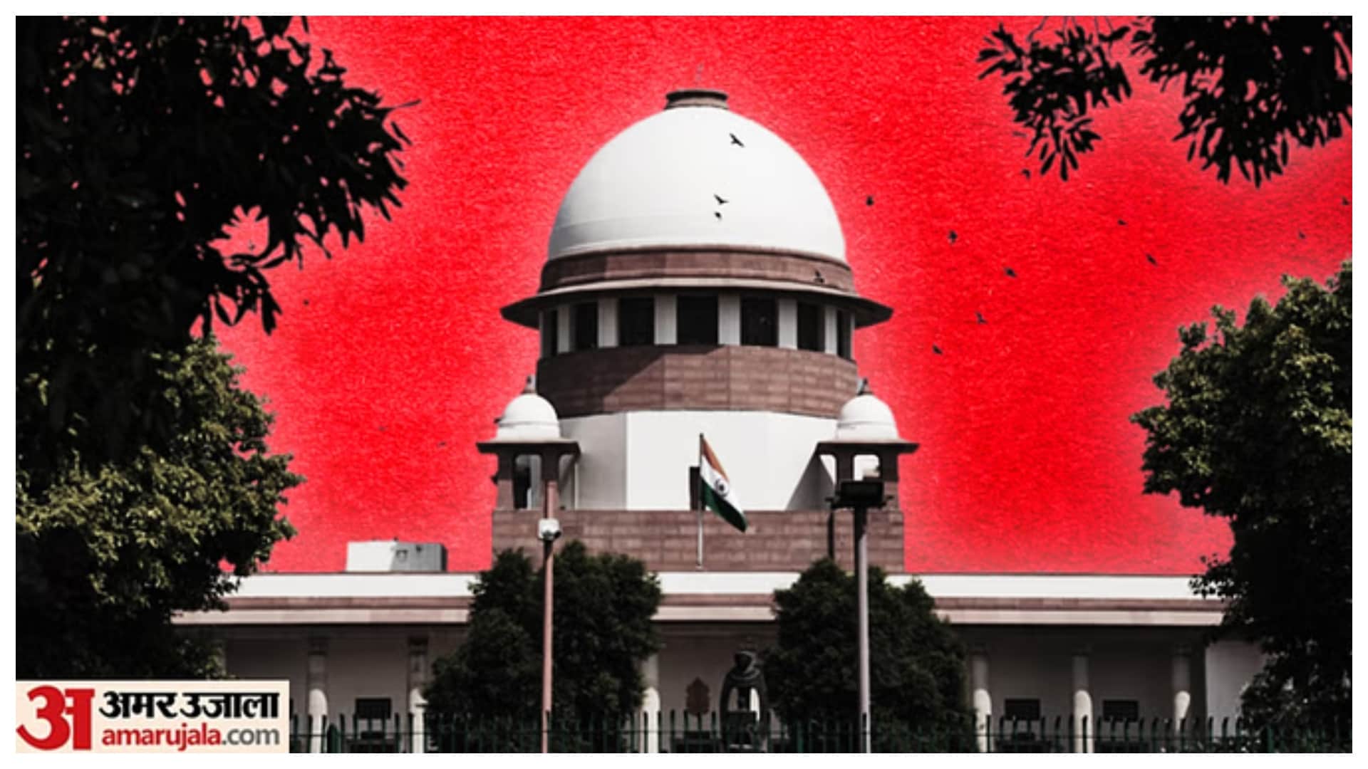 Aggressive, Dogs With Rabies Wont be Free: 5 Highlights From Supreme Court Stray Dogs Order