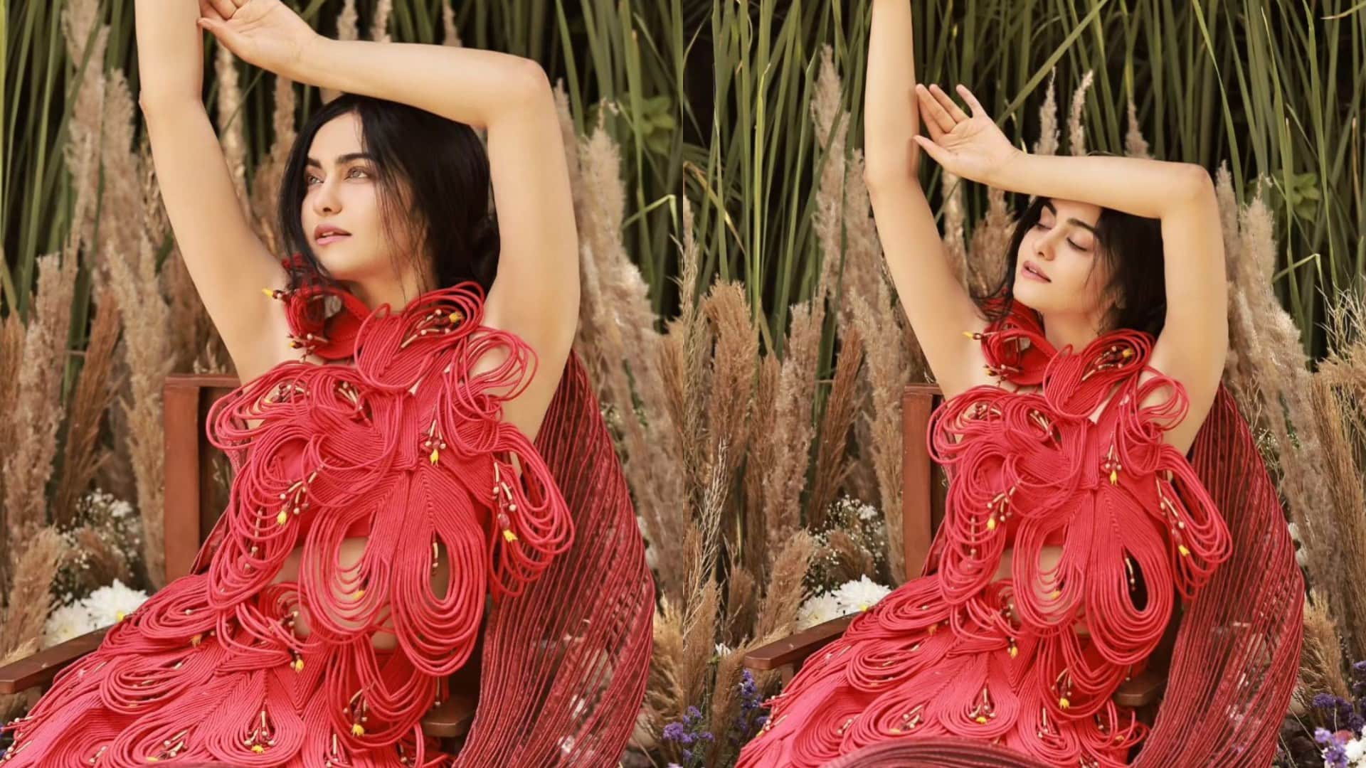 Adah Sharma shifted to Sushant Singh Rajput flat attracted everyone attention by sharing her experience