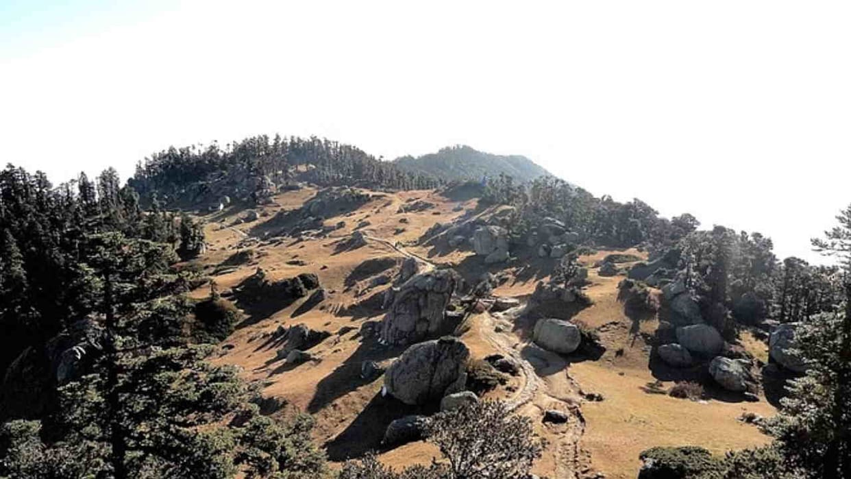 Now fitness certificate is necessary to go on the 15 km journey to Churdhar