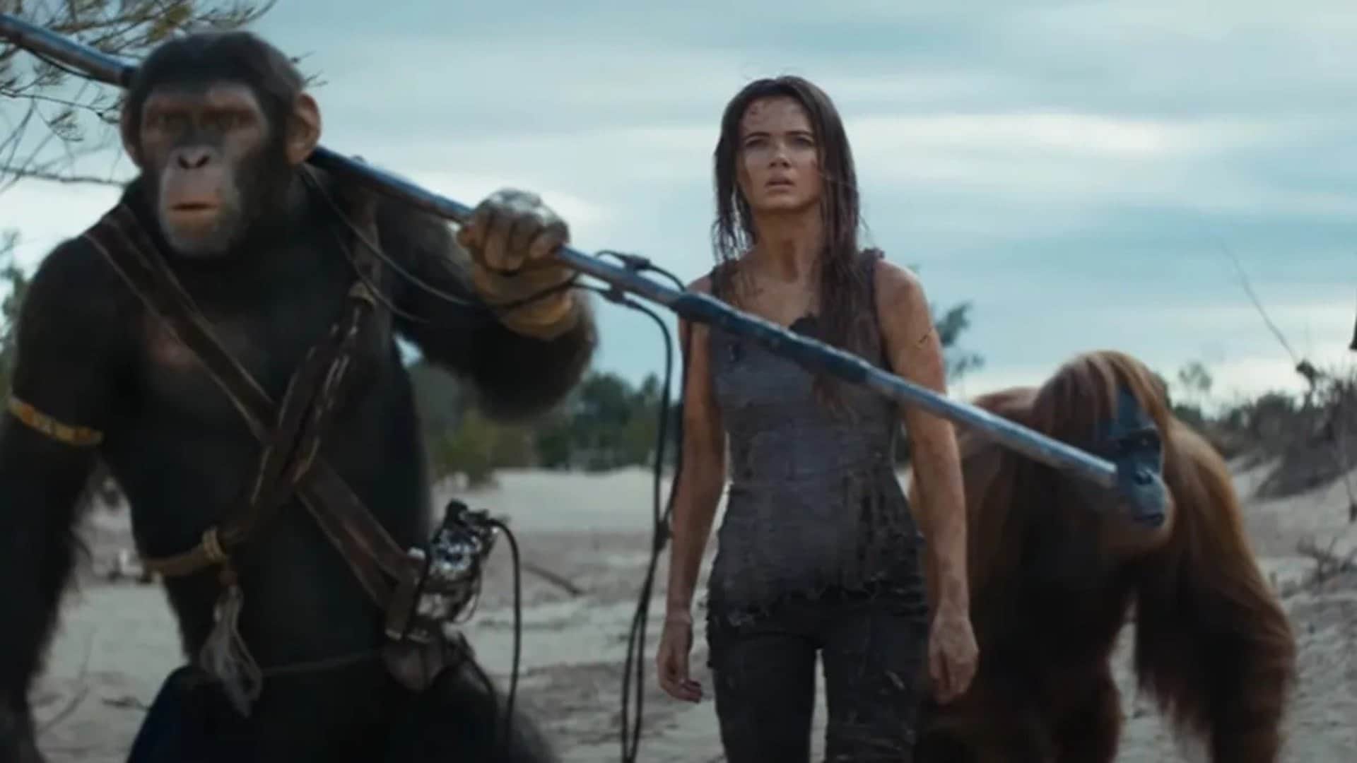 Saturday Box Office Collection Srikanth and Kingdom of the Planet of the Apes Latest Earnings and Occupancy