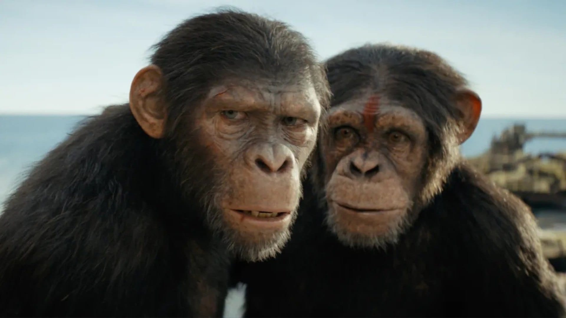 Saturday Box Office Collection Day 2 Srikanth Kingdom of the Planet of the Apes Star