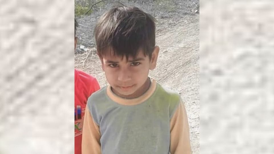 dogs mauled eight year old child to death in Siddharthnagar