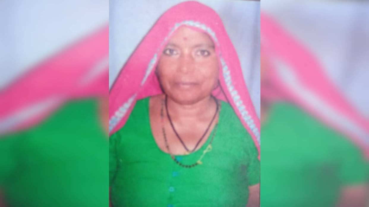 Dausa News Due to short circuit wood caught fire woman who went to extinguish it died on spot