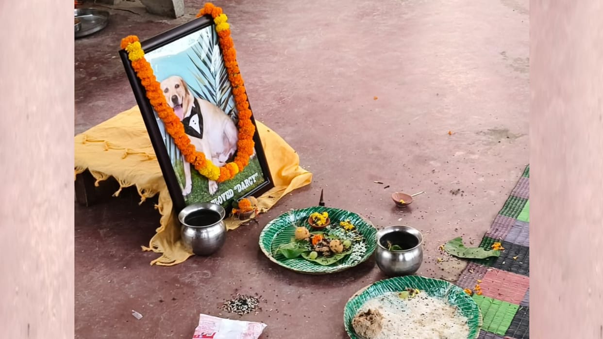 Pinddaan of a dog in Namisharanya in Sitapur.