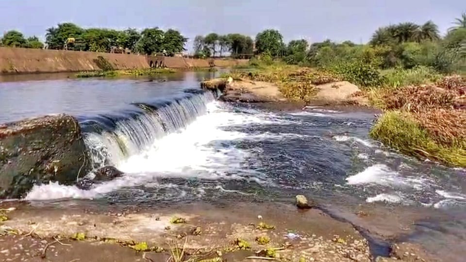 तांदुला नदी