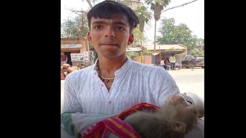 young man ran two kilometers to save the life of a monkey who got electrocuted near Banke Bihari Temple