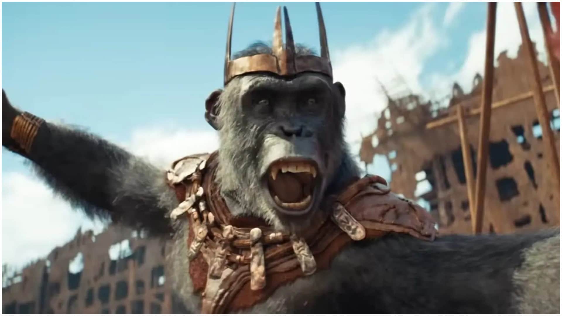 Friday Box Office Collection: Rajkummar Rao Srikanth Kingdom of the Planet of the Apes and Star Movie Earning