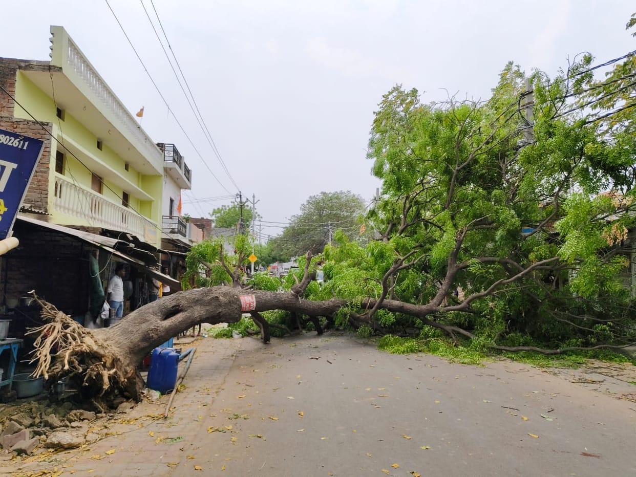 UP: Dust storm across the state, Meteorological Department issued alert of rain and storm for these districts