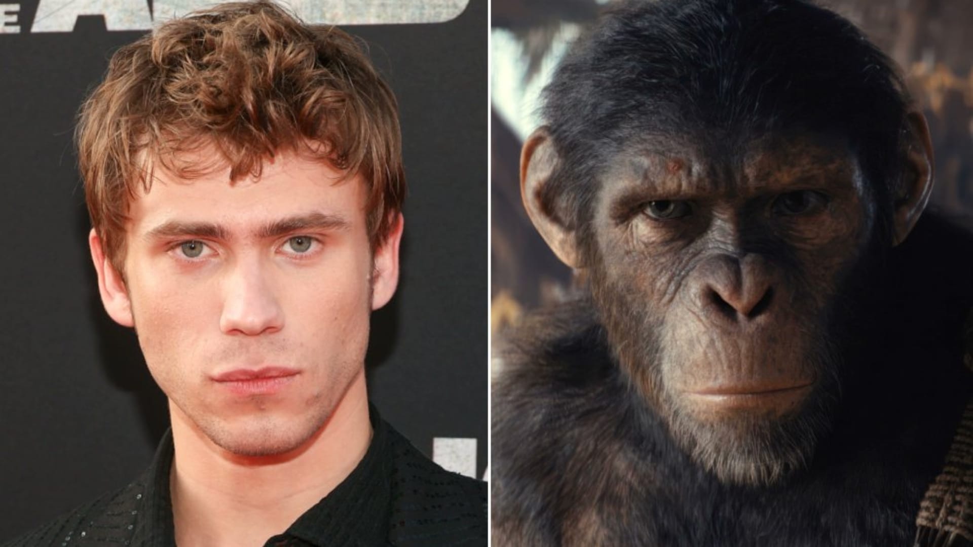complete cast breakdown of all the major characters of the film Kingdom Of The Planet Of The Apes
