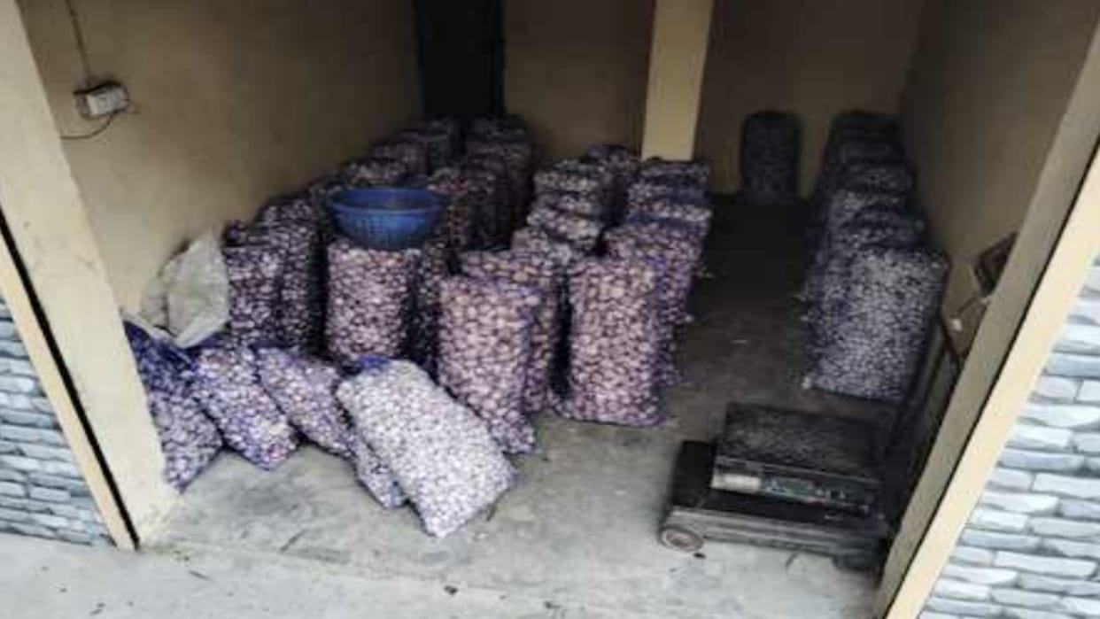 Sirmauri garlic hits the markets, gets price of Rs 170