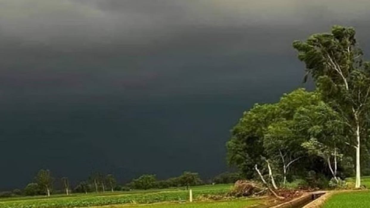 UP Weather News Rain and thunderstorm warning issued in 60 districts Lightning alert also issued