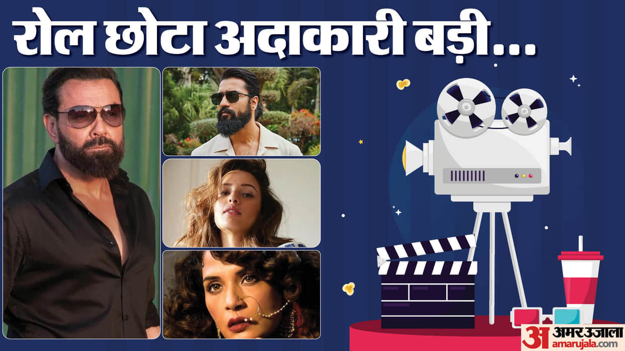 These Bollywood Celebs Dominates Screen in Small Roles Bobby Deol Richa Chadha triptii Dimri Vicky kaushal