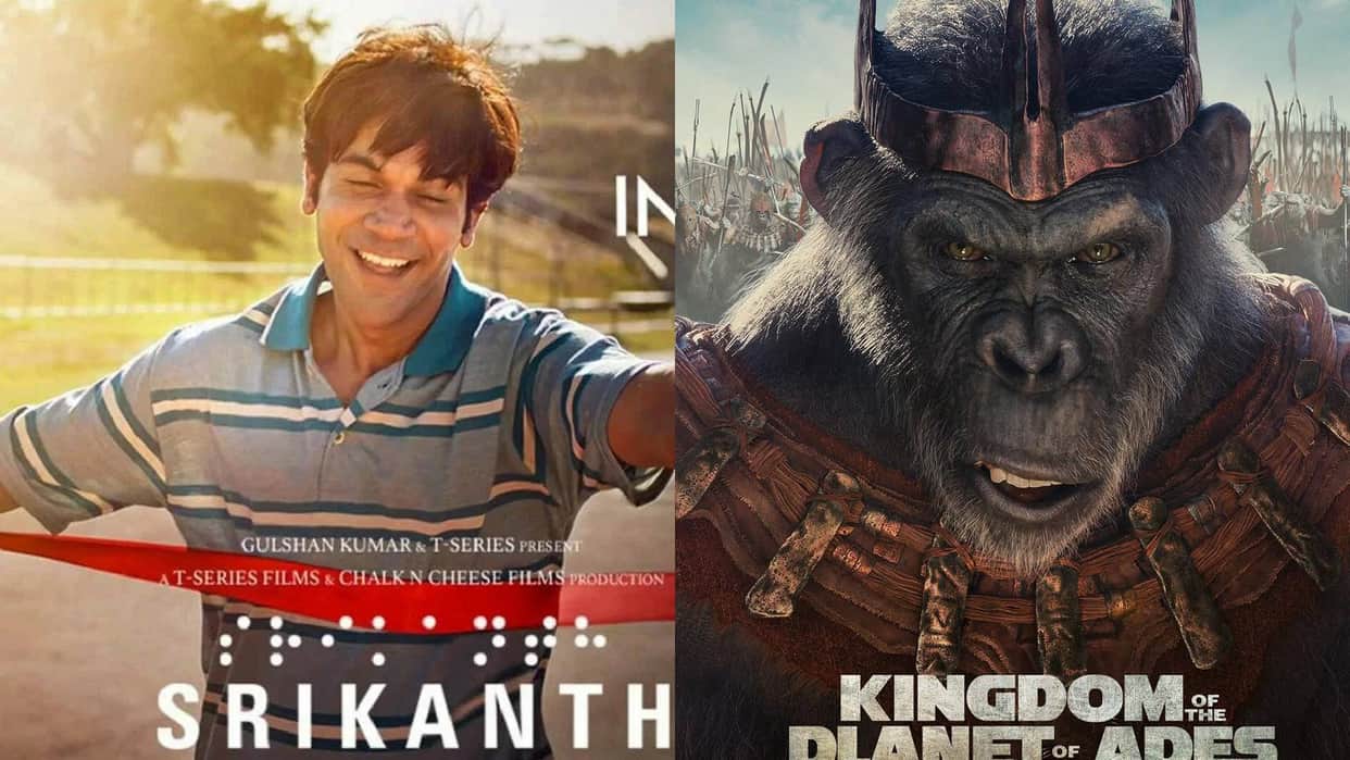 Box Office Collection Rajkummar Rao Srikanth And Kingdom Of The Planet Of The Apes total Earnings