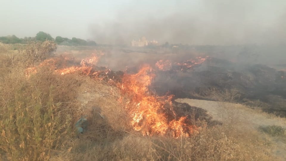 fire break out in the foothills of Yamuna Notice to Irrigation Department