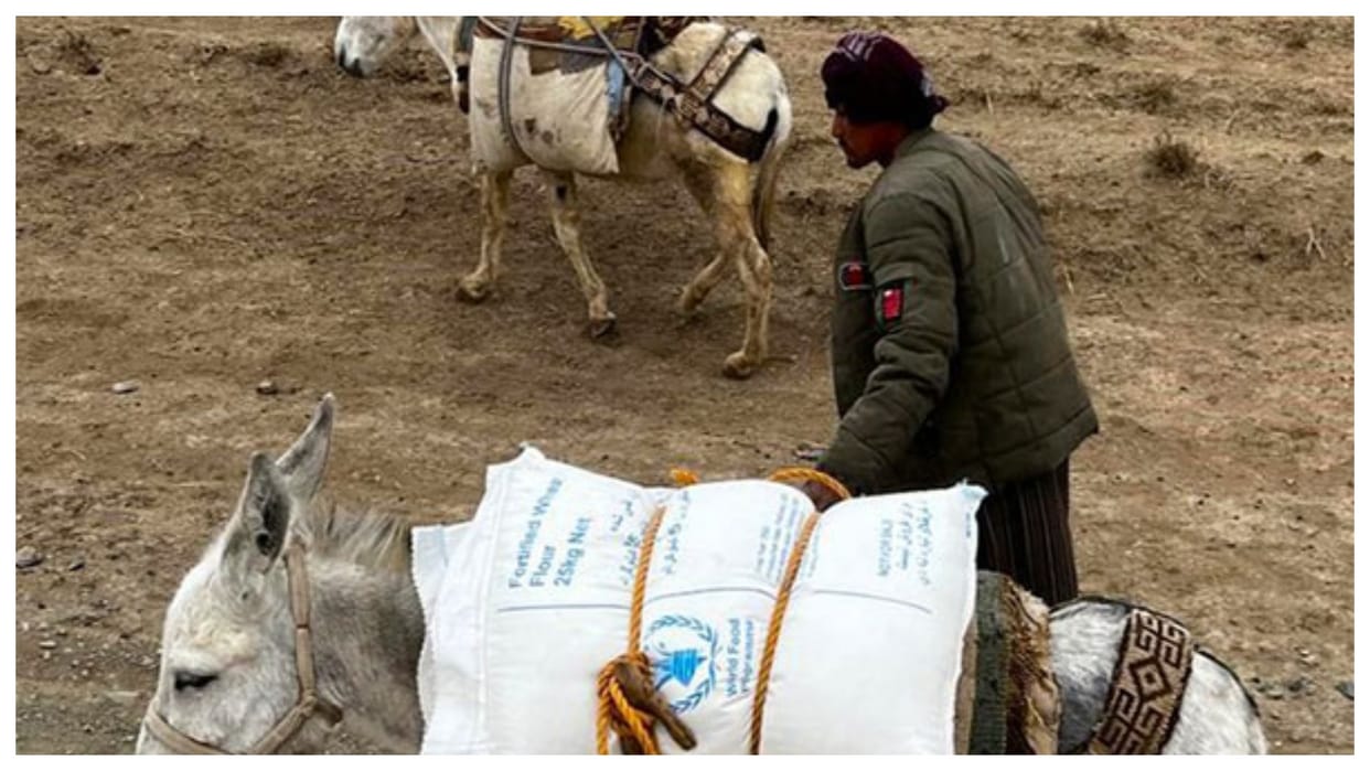 afghanistan flood hit areas not accessible by trucks donkeys come to rescue