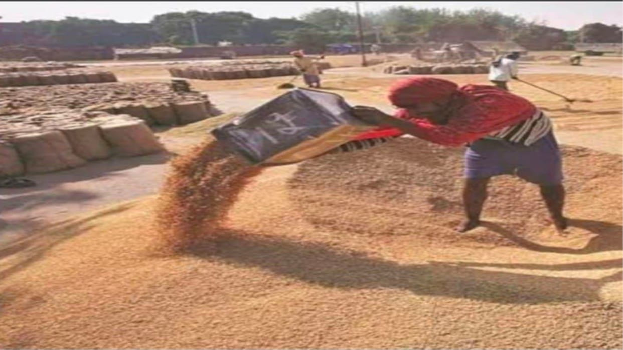 Fraud of Rs 5 crore from wheat and mustard farmers case not registered
