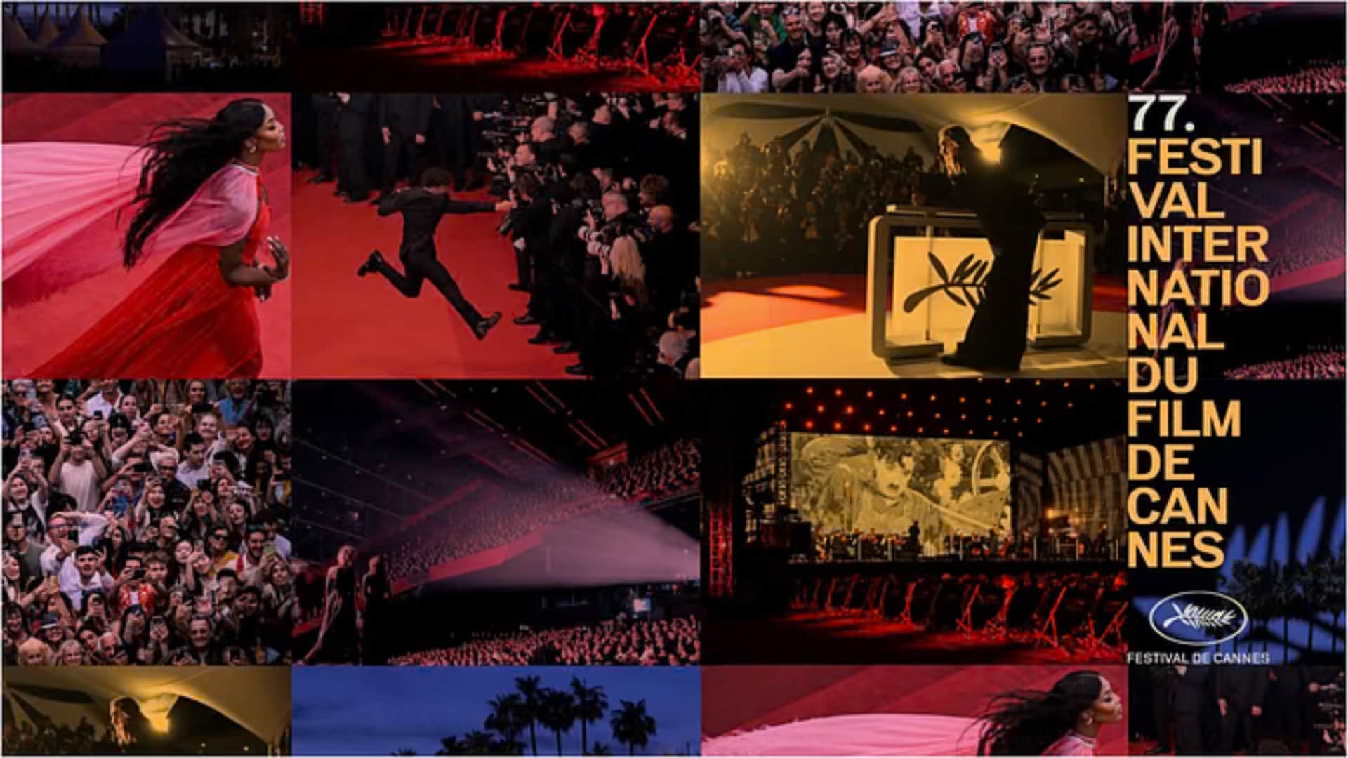 cannes film festival 2024 is here click here to know top five records about this festival