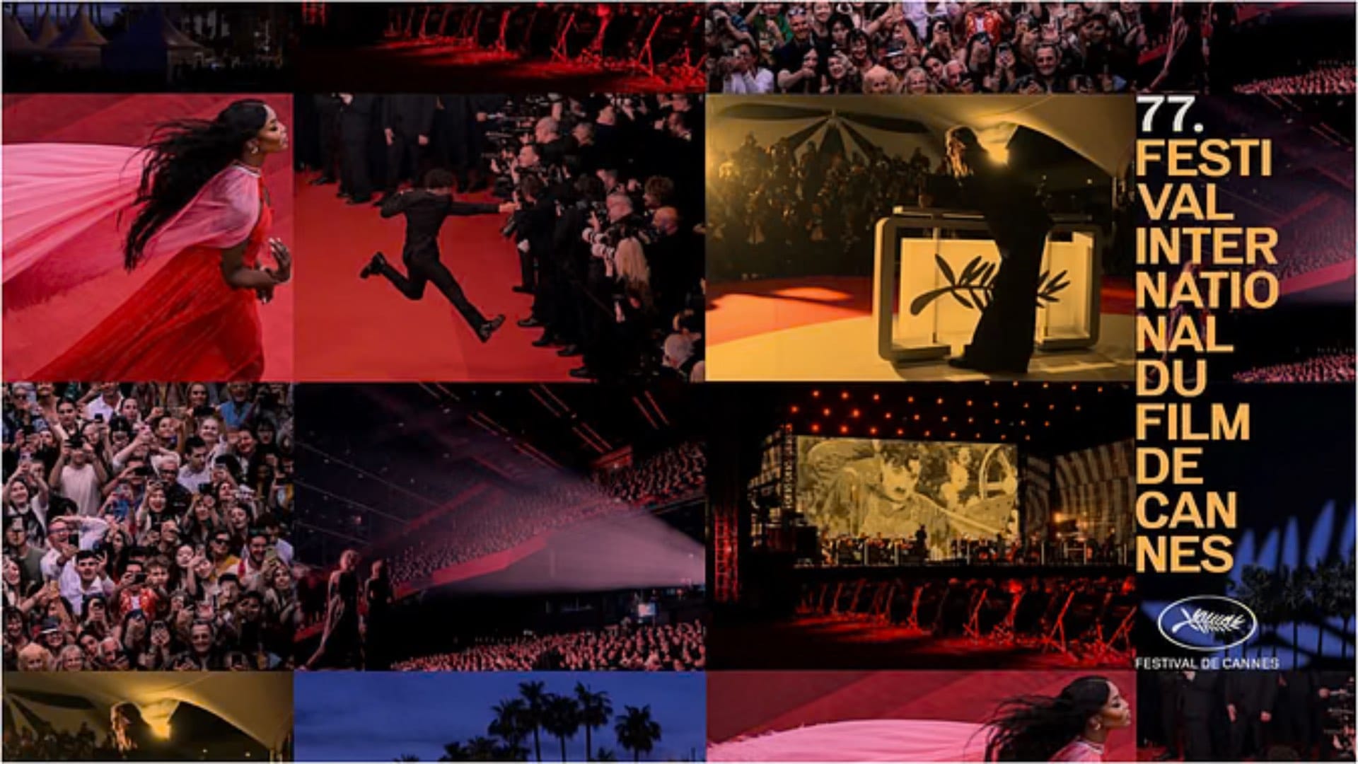 cannes film festival 2024 is here click here to know top five records about this festival