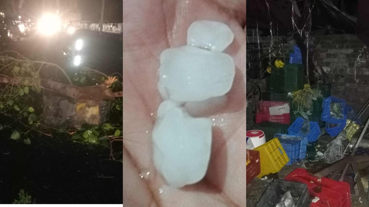 Weather: Suddenly the weather changed in Haryana, trees uprooted by the storm fell on the car