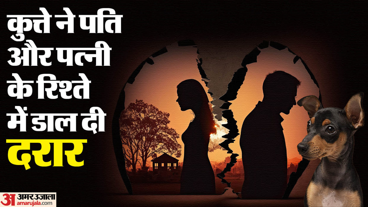 dog created ruckus in family wife left husband want divorce in agra