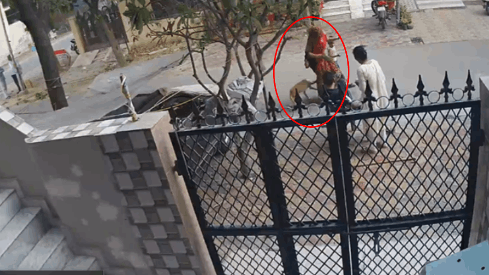 stray dog attacked woman and child in Greater Noida