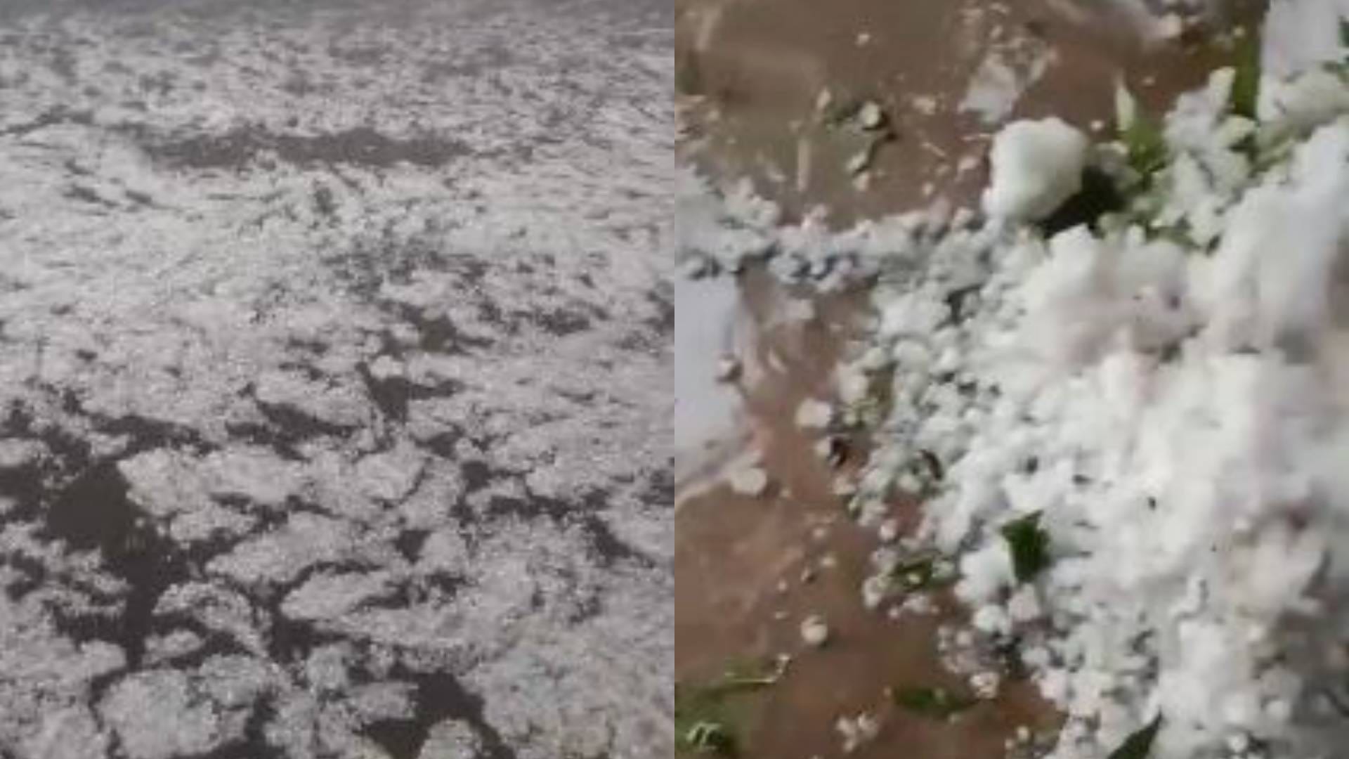Dhar News Badra rained heavily during voting rain accompanied by strong storm see pictures