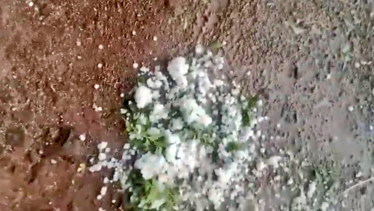 Dhar News Badra rained heavily during voting rain accompanied by strong storm see pictures