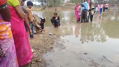 Two snakes roaming in pond Villagers are feeding milk as snake gods in Korea