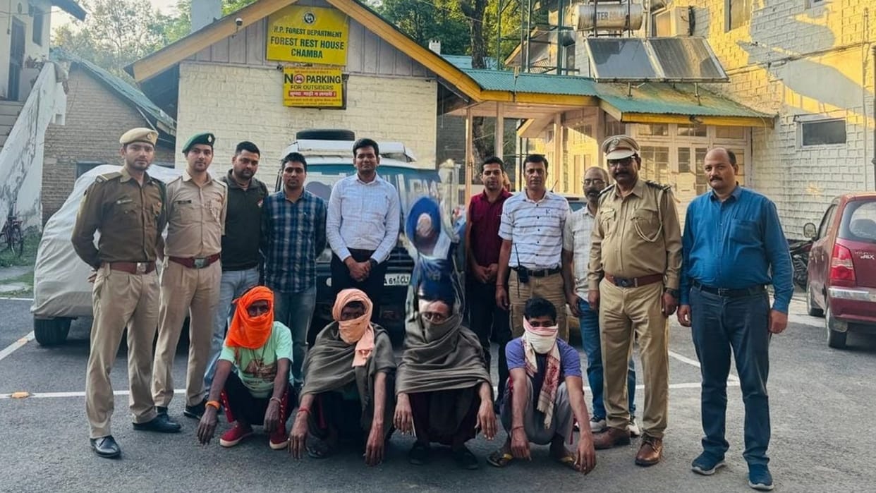 Four people caught with remains of wild animals in Chamba for the second day