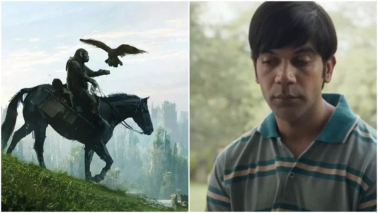 Box Office Collection Know Srikanth And Kingdom Of The Planet Of The Apes Latest Earnings