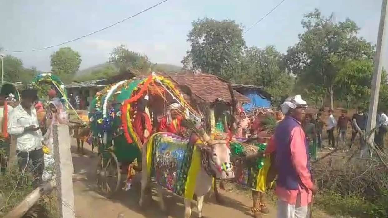 MP News Such procession took place in Narmadapuram that people could not take their eyes off it watch video