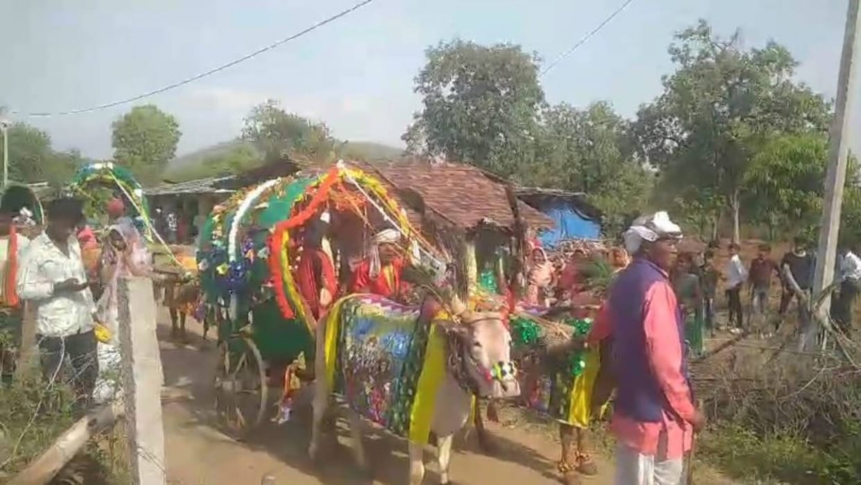 MP News Such procession took place in Narmadapuram that people could not take their eyes off it watch video