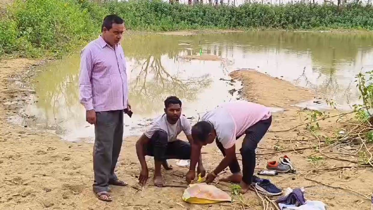 Snake rescued in Charpara Korea
