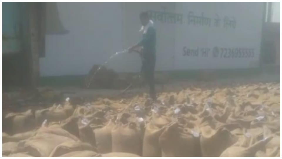 Sagar News: Wheat sacks filled with water to increase weight in government procurement