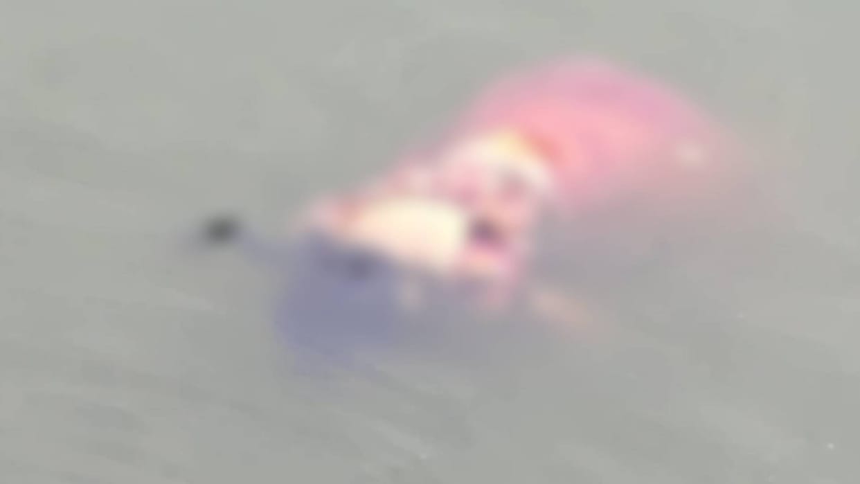 Tikamgarh News Dead body of woman found floating in Mahendra Sagar pond