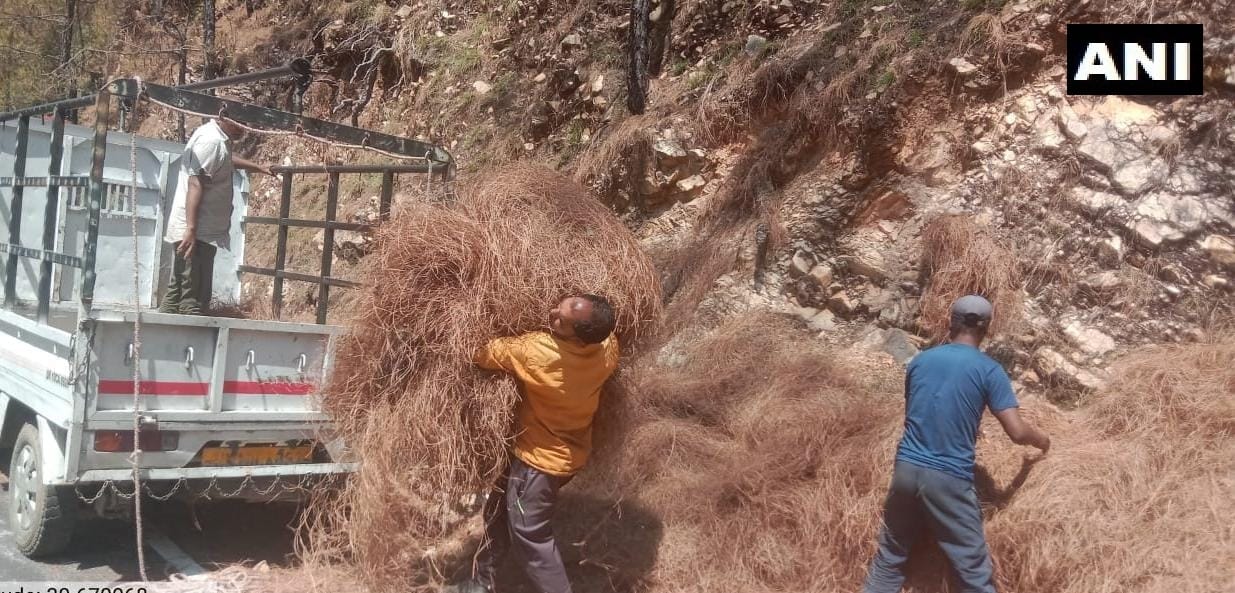 Pirul can become a means of livelihood IIT scientists made Pirul bricks making machine under pilot project