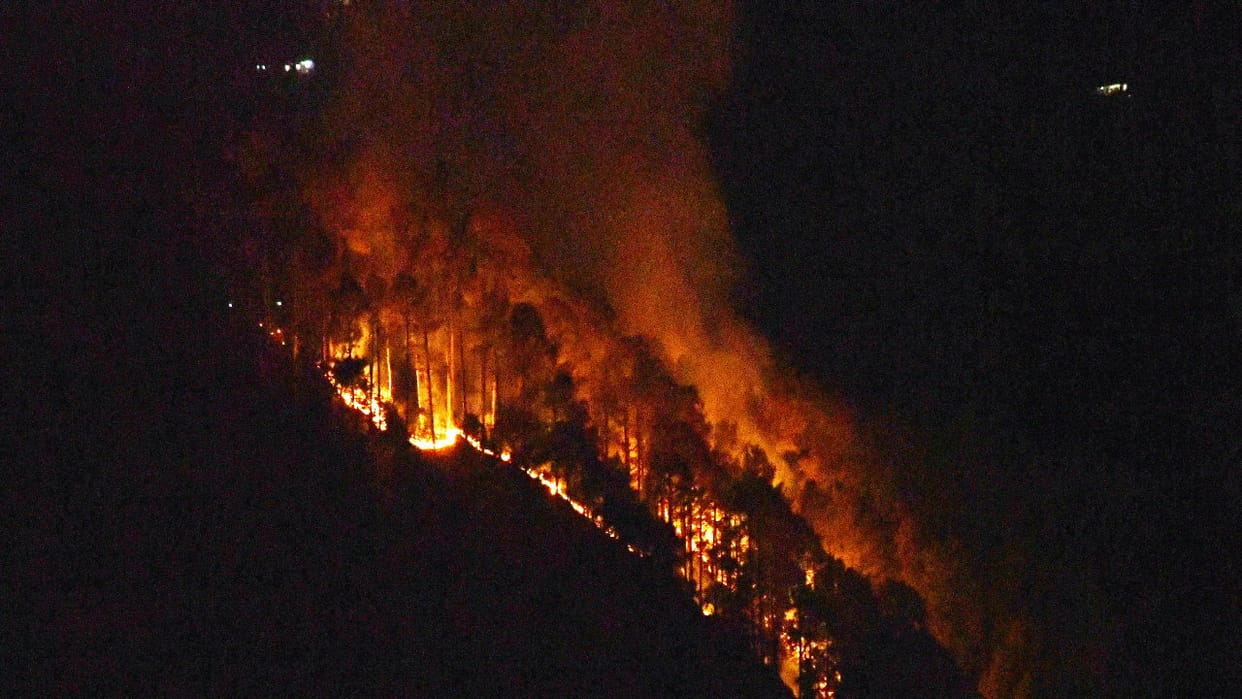 Shimla Fire Damage worth lakhs due to fire in Naldehra and Shoghi forests