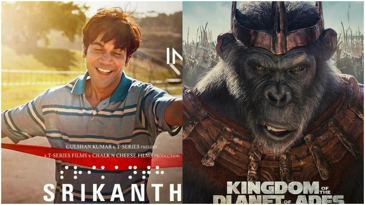 Sunday Box Office Collection Rajkummar Rao Srikanth And Kingdom Of The Planet Of The Apes Total Collections