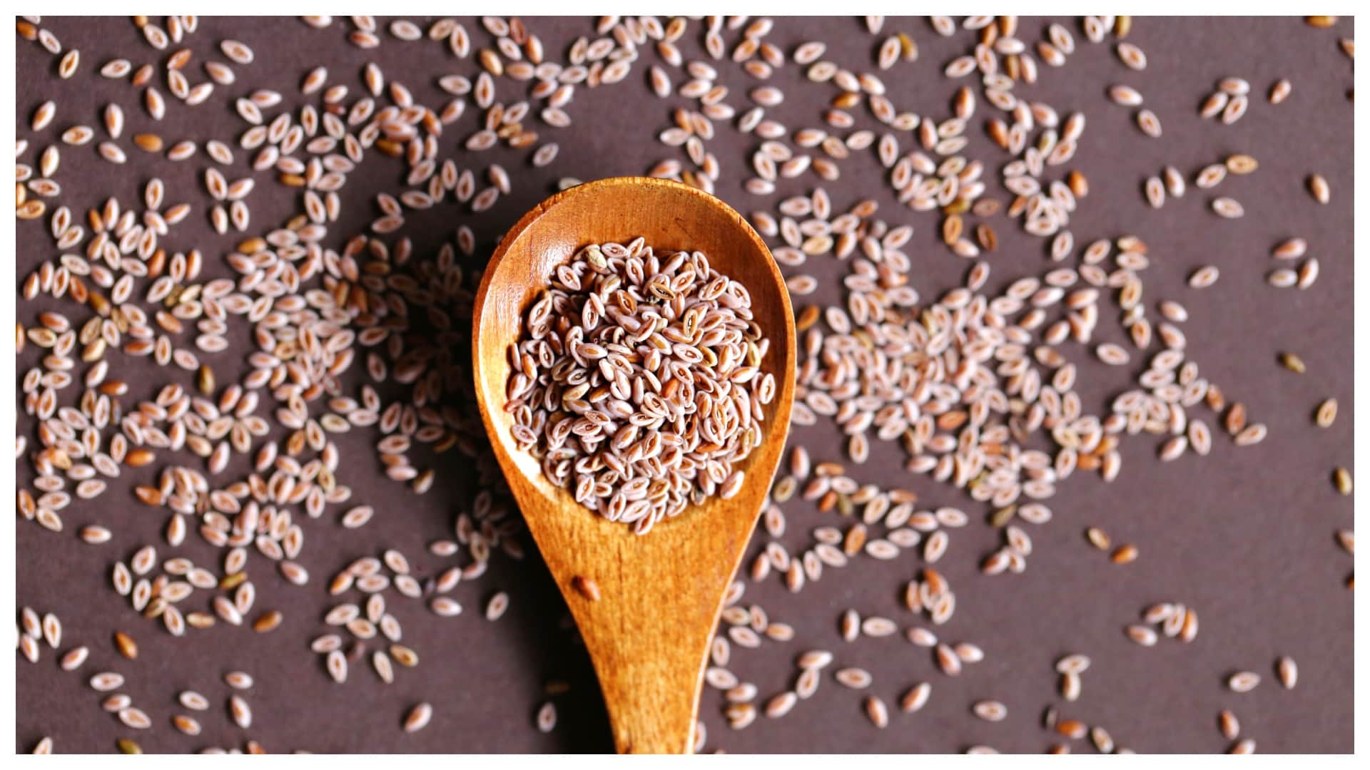 best food for constipation what to eat when you have constipation