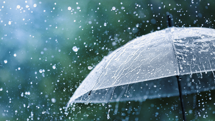 Haryana Weather: मानसून में 3 तीन दिन का लगेगा ब्रेक, 12 से फिर झमाझम, रतिया में बारिश से गिरी मकान की छत