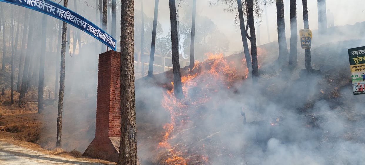 Uttarakhand Forest blazed at seven places fire reached college campus in Jaiharikhal