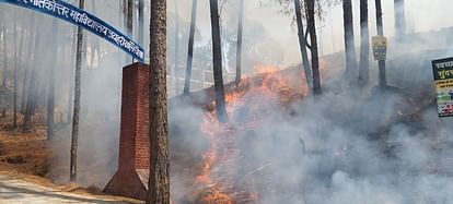 Uttarakhand Forest Fire: सात जगह धधके जंगल...जयहरीखाल में महाविद्यालय परिसर तक पहुंची आग Uttarakhand Forest blazed at seven places fire reached college campus in Jaiharikhal