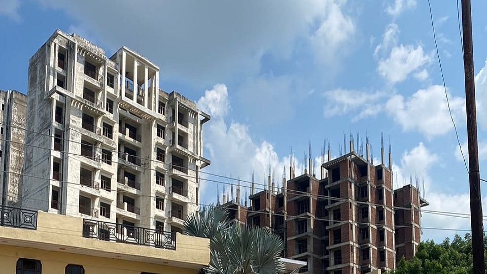 CSE DG Sunita Narayan says If we want to avoid heat, architecture of cities will have to be changed