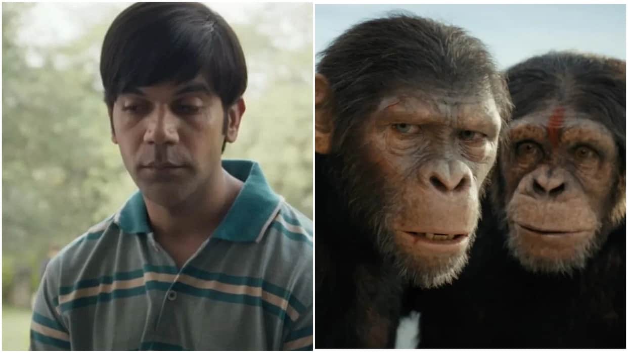 Wednesday Box Office Collection Srikanth and Kingdom of the Planet of the Apes Latest Earnings and Occupancy