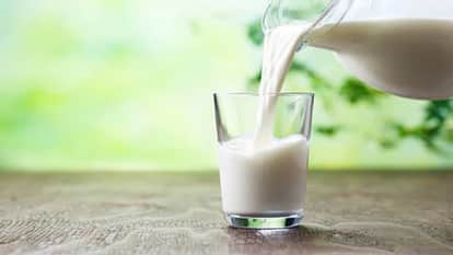 Punjab adulteration racket 47% of milk and milk products samples fail cheese contaminated with chemicals